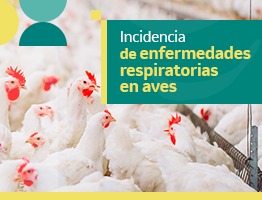 Incidencia de las principales enfermedades respiratorias en aves.